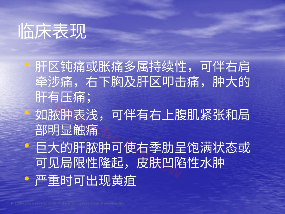 预览第 30 页