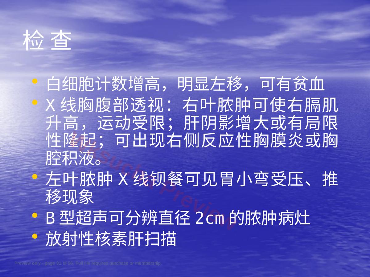 预览第 31 页
