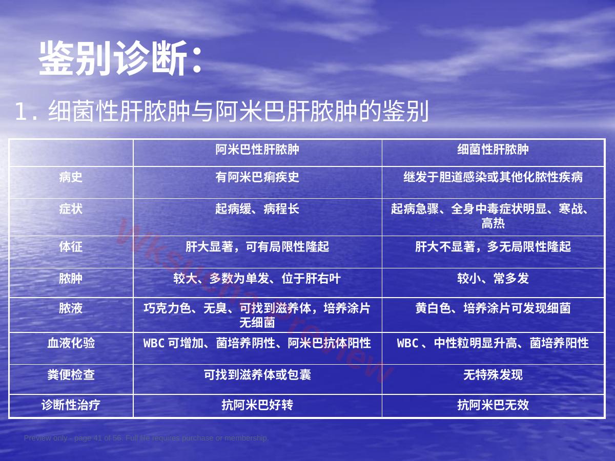 预览第 41 页