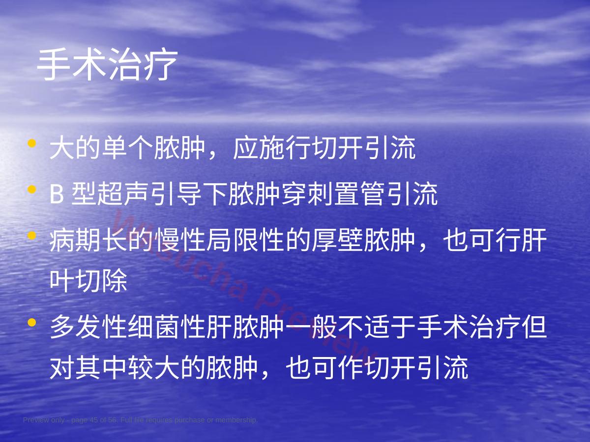 预览第 45 页