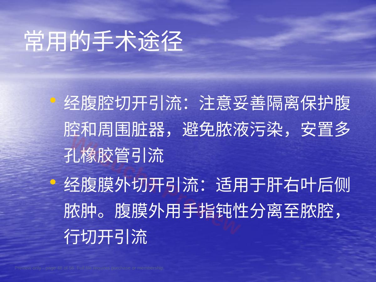 预览第 48 页