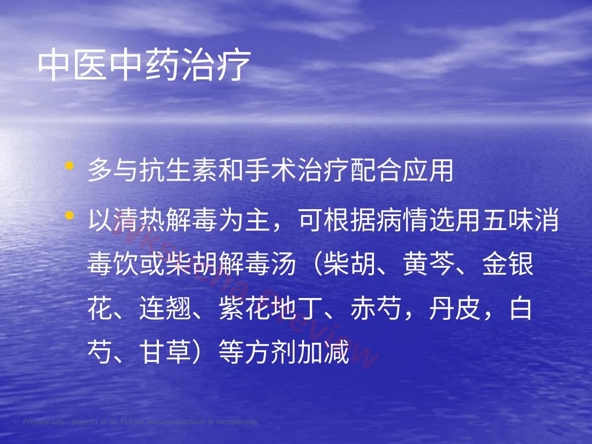 预览第 51 页