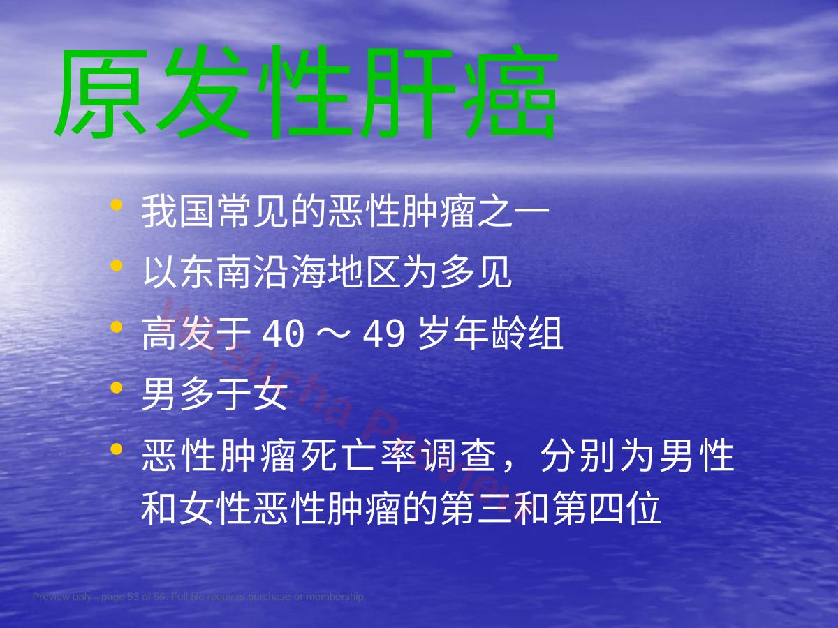 预览第 53 页