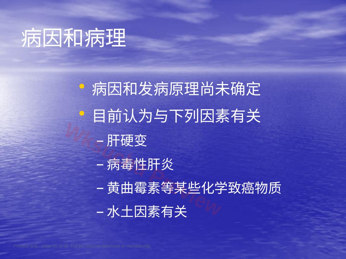 预览第 55 页