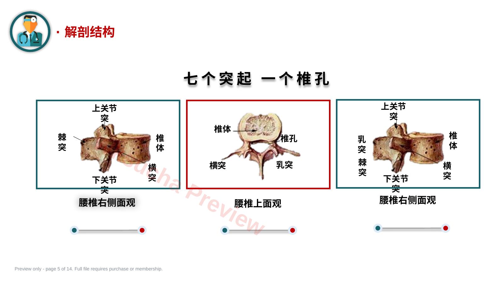 预览第 5 页