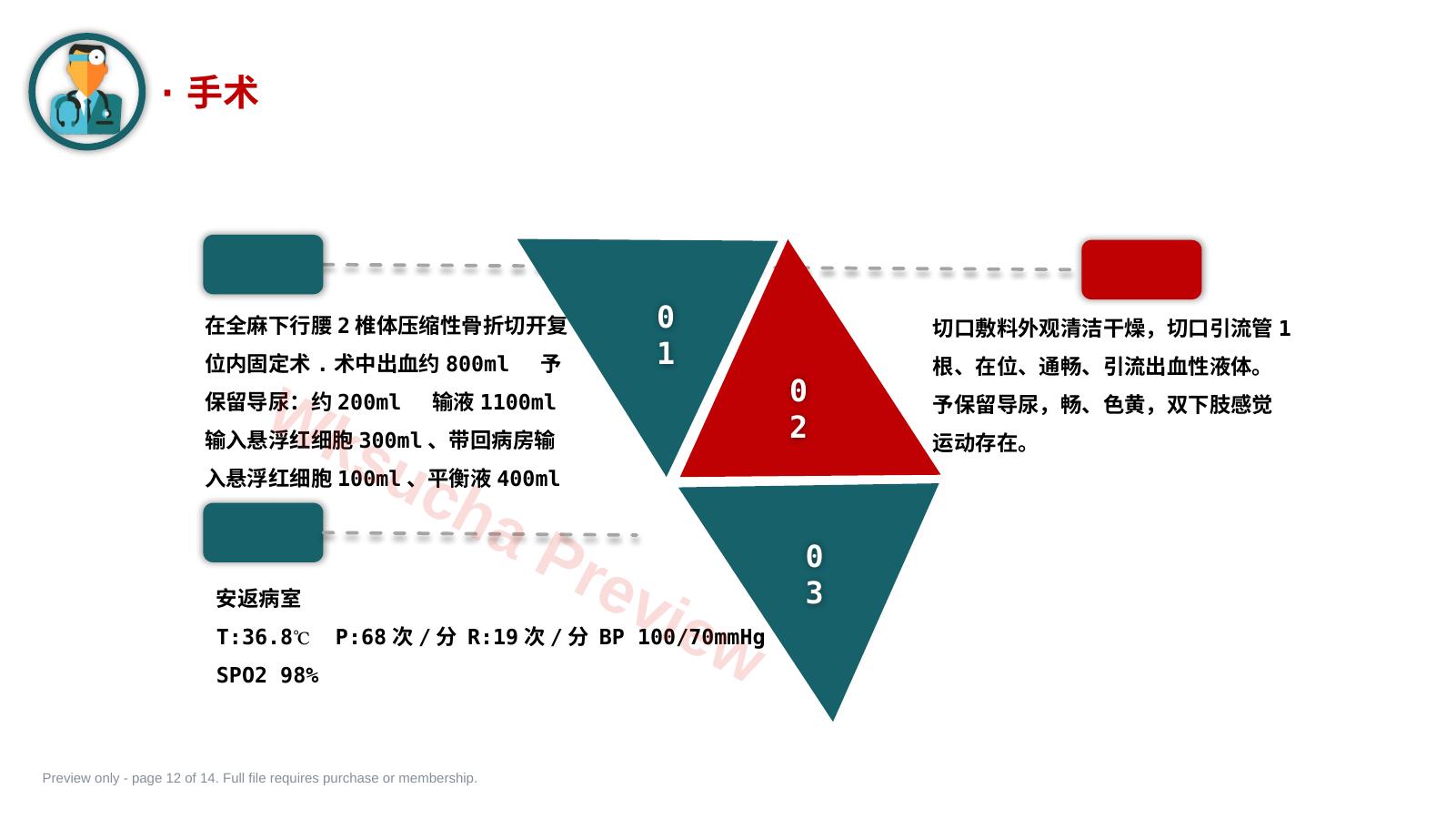 预览第 12 页