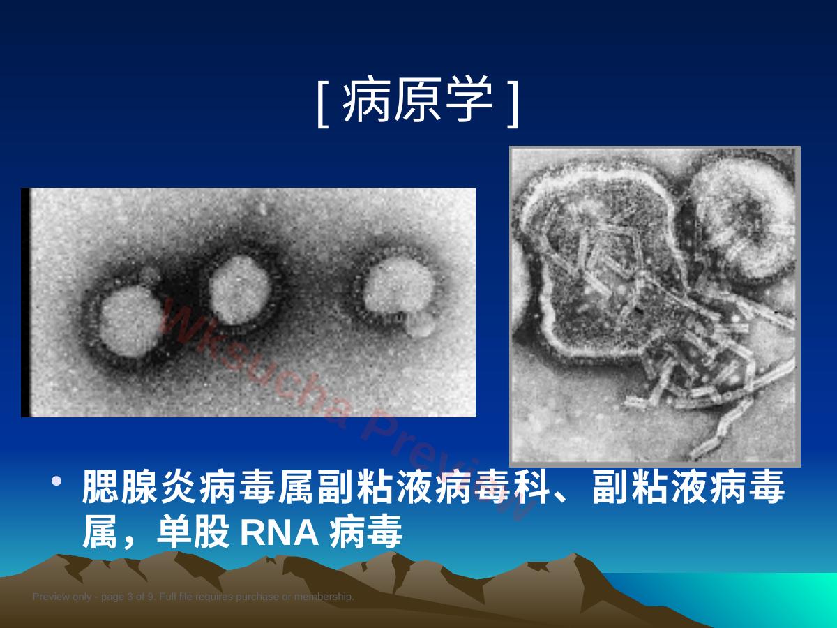 预览第 3 页