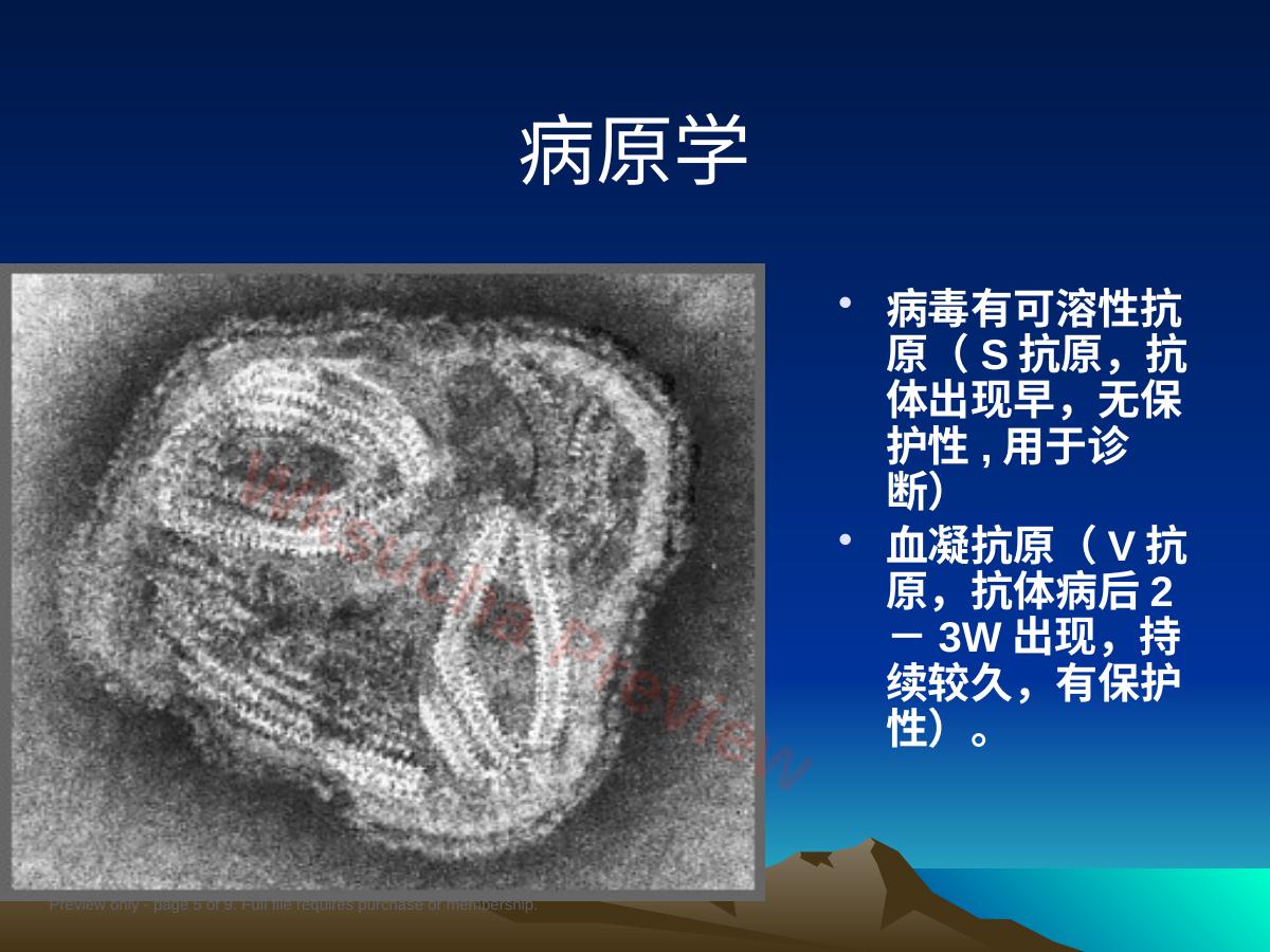预览第 5 页