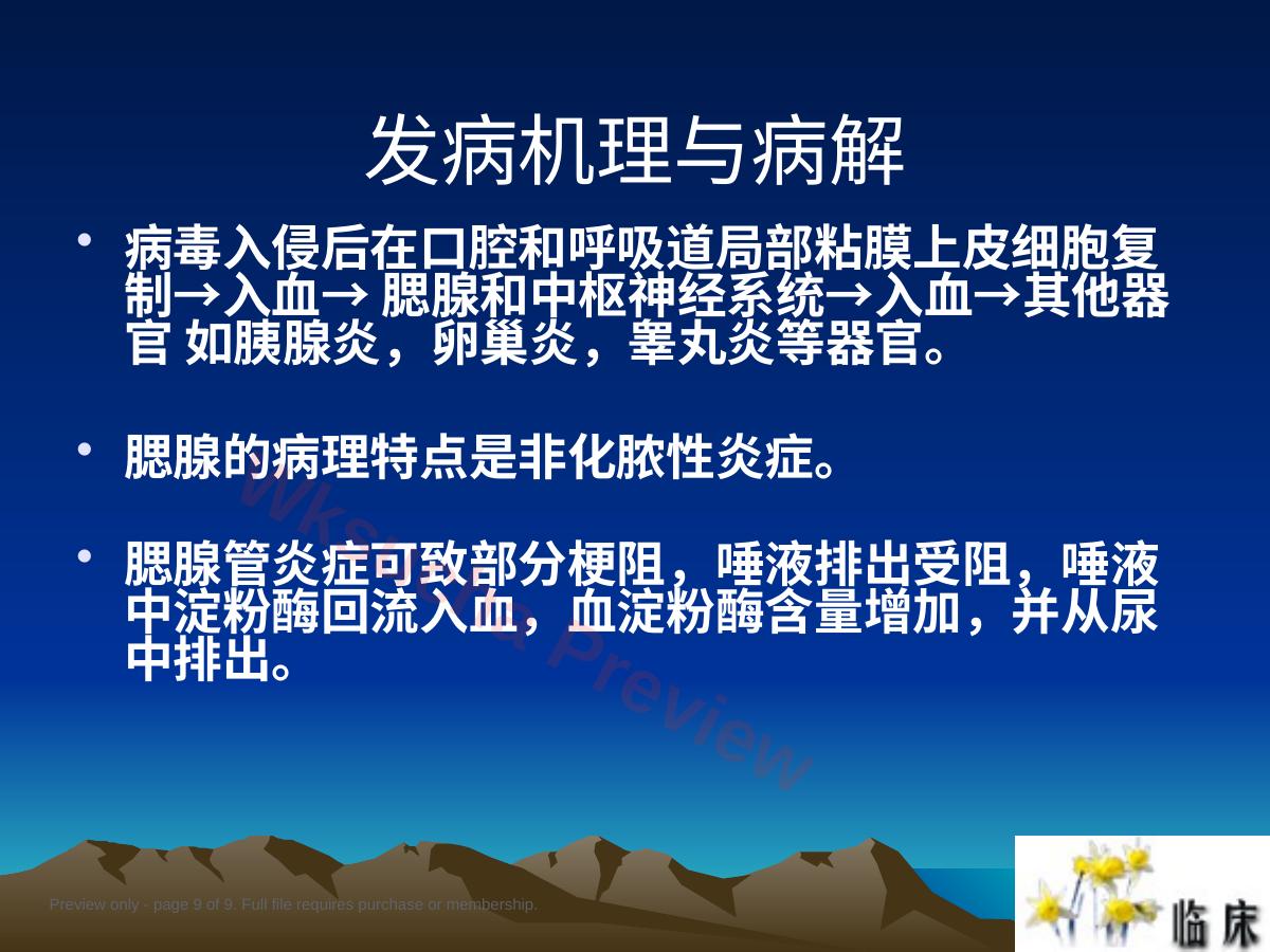 预览第 9 页