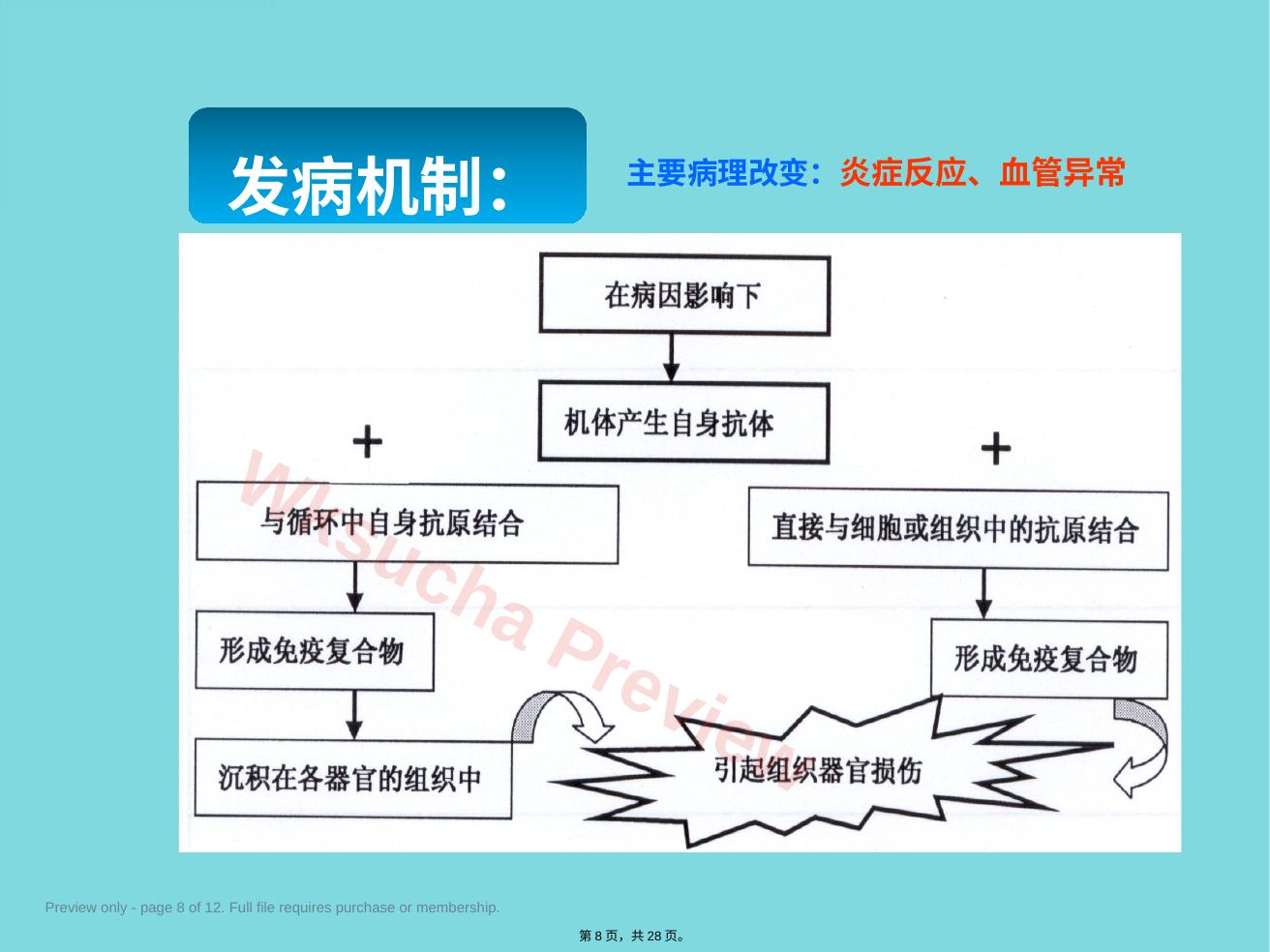 预览第 8 页