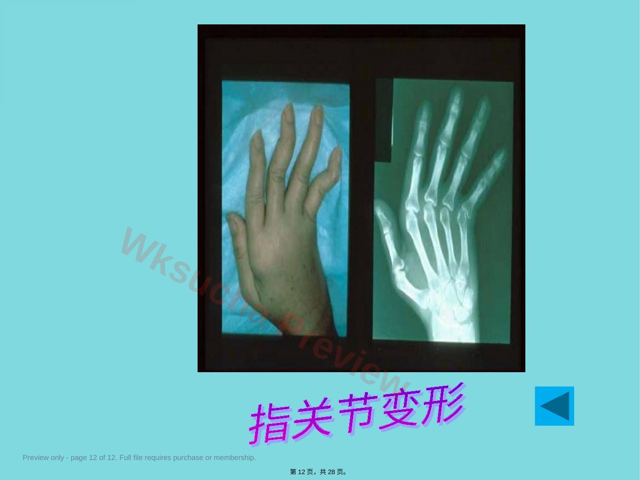 预览第 12 页