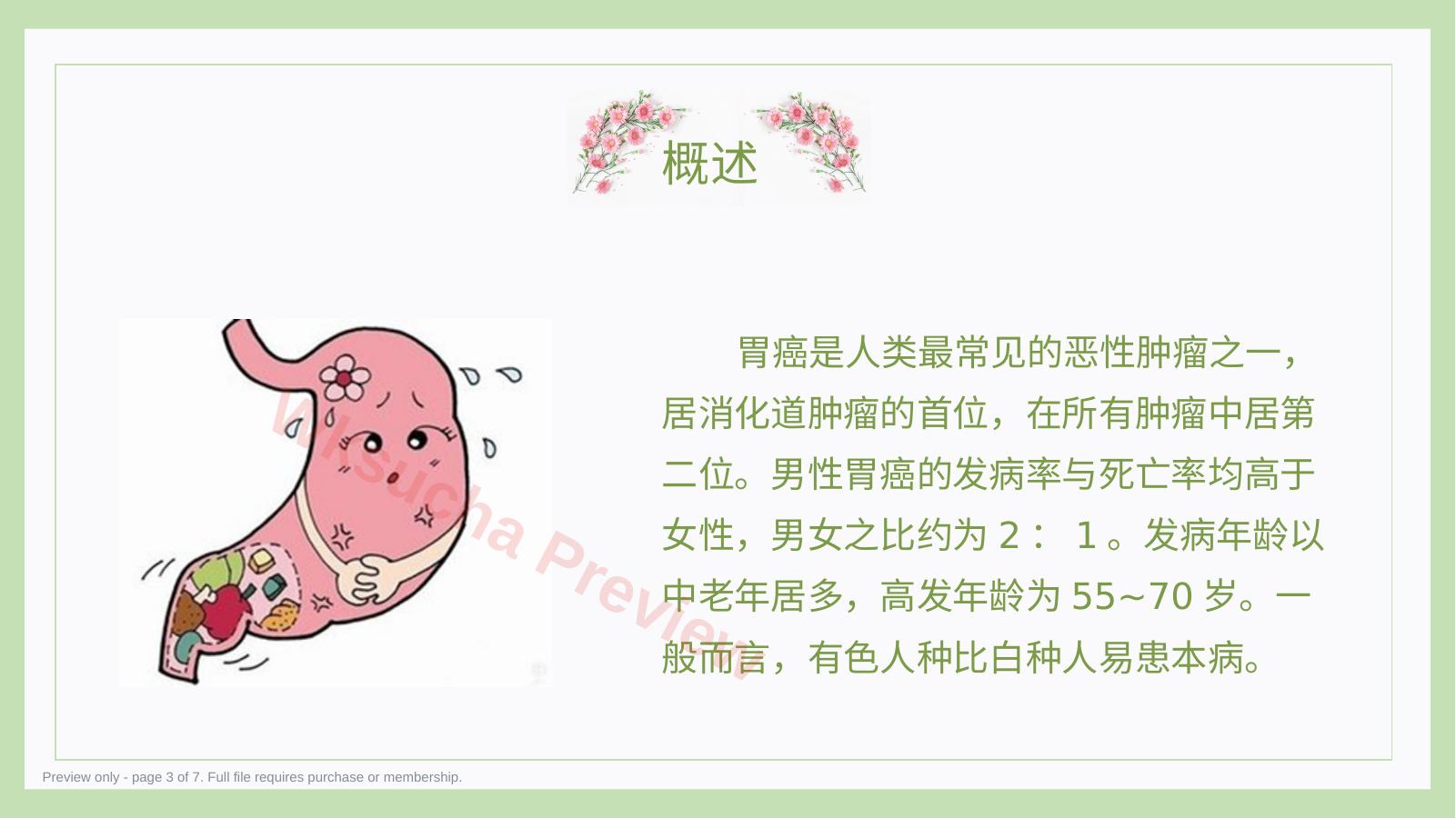 预览第 3 页