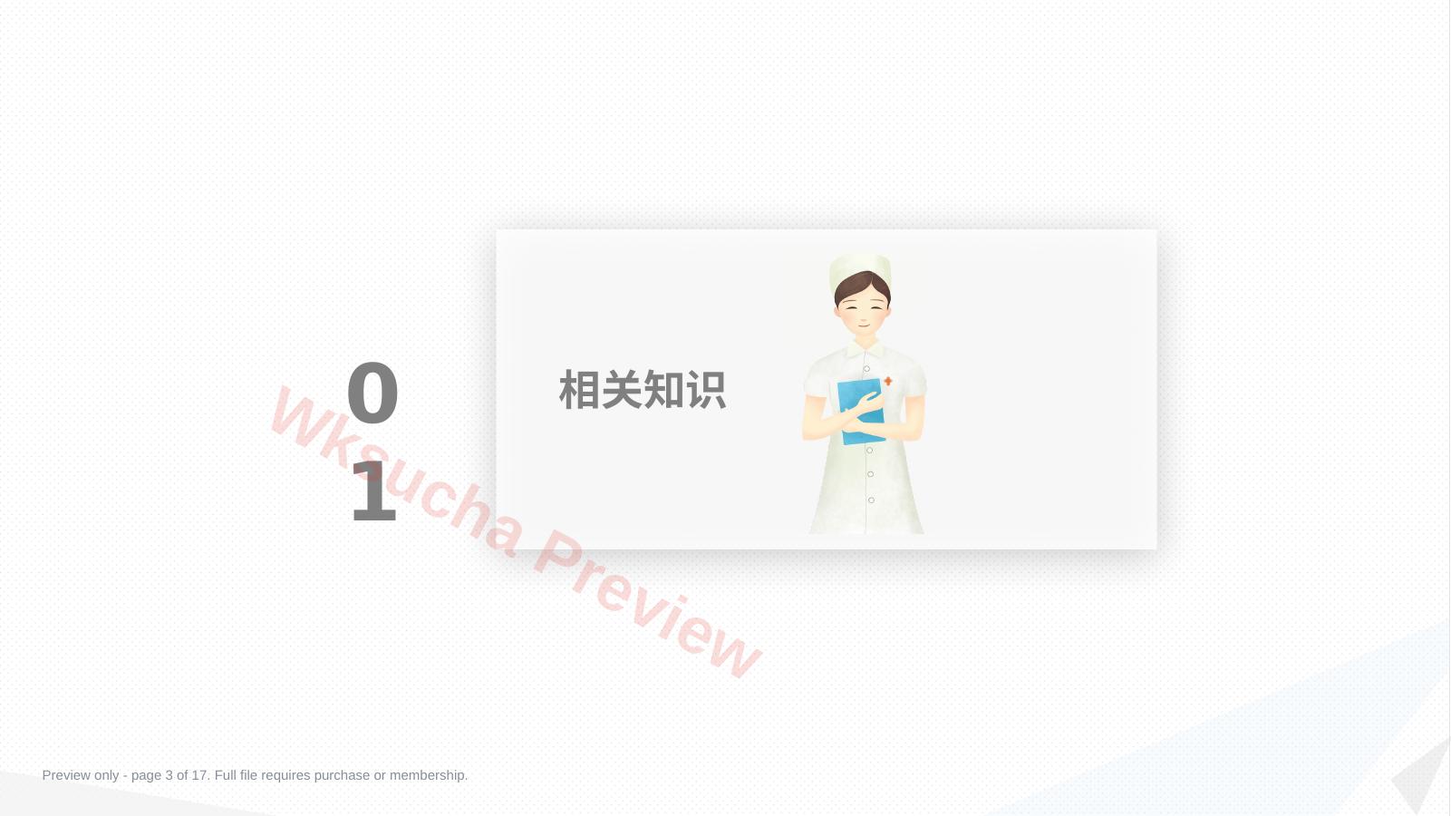 预览第 3 页