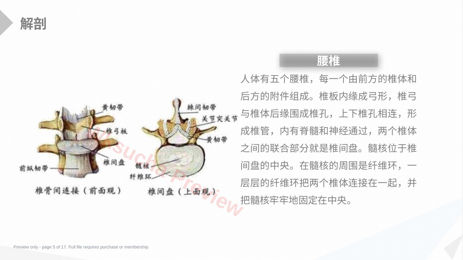 预览第 5 页