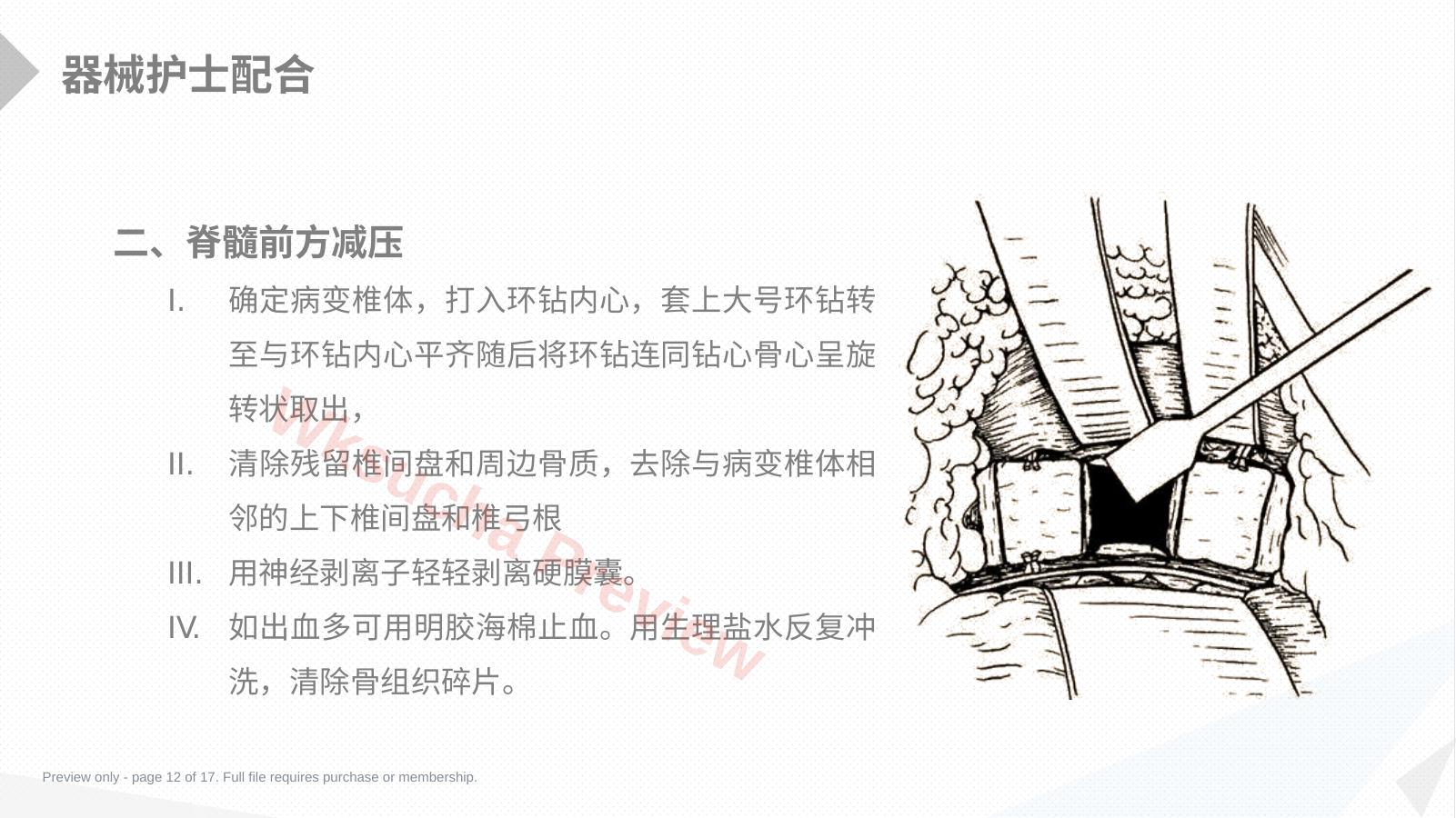预览第 12 页