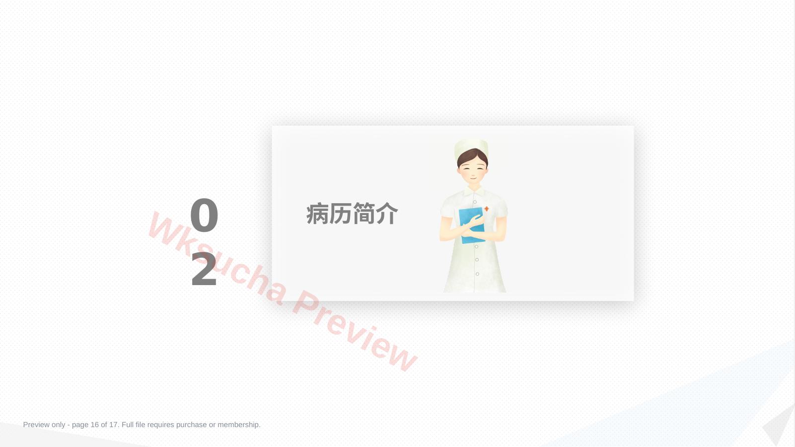 预览第 16 页