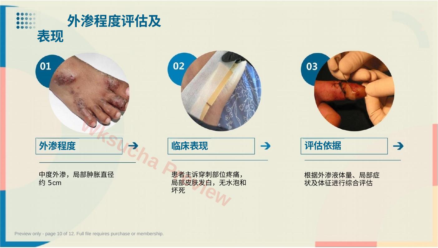 预览第 10 页
