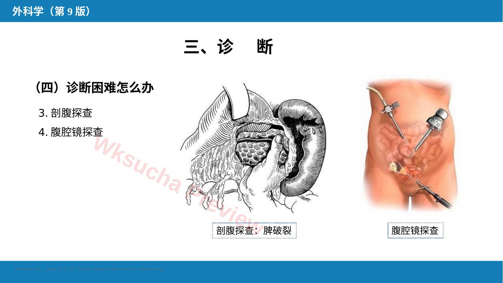 预览第 12 页