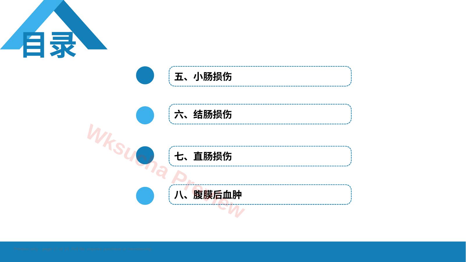预览第 17 页