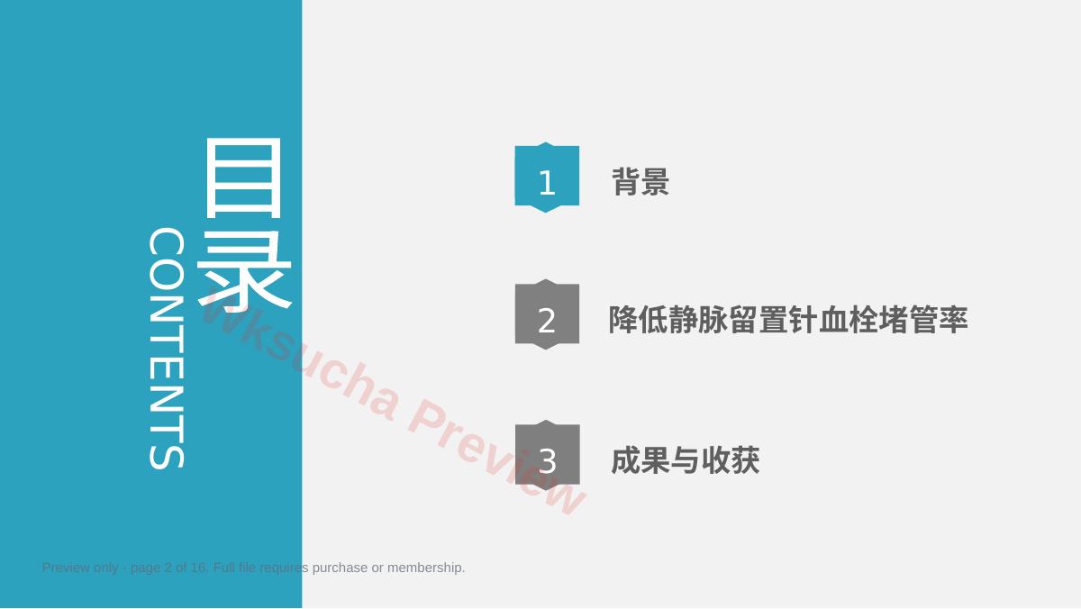 预览第 2 页