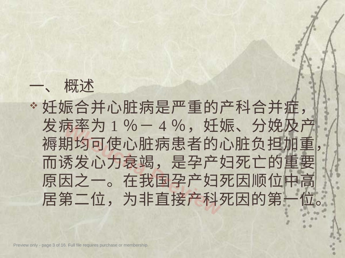 预览第 3 页