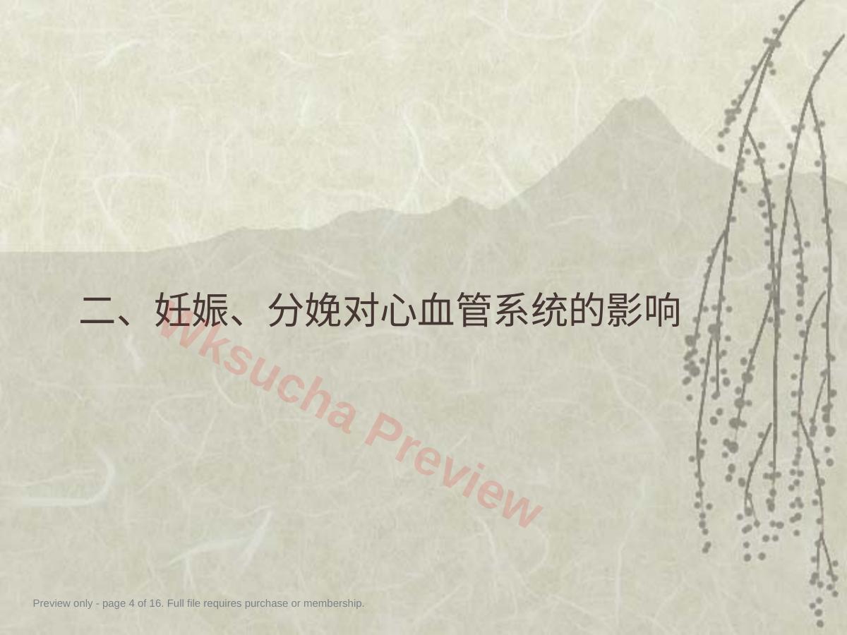 预览第 4 页