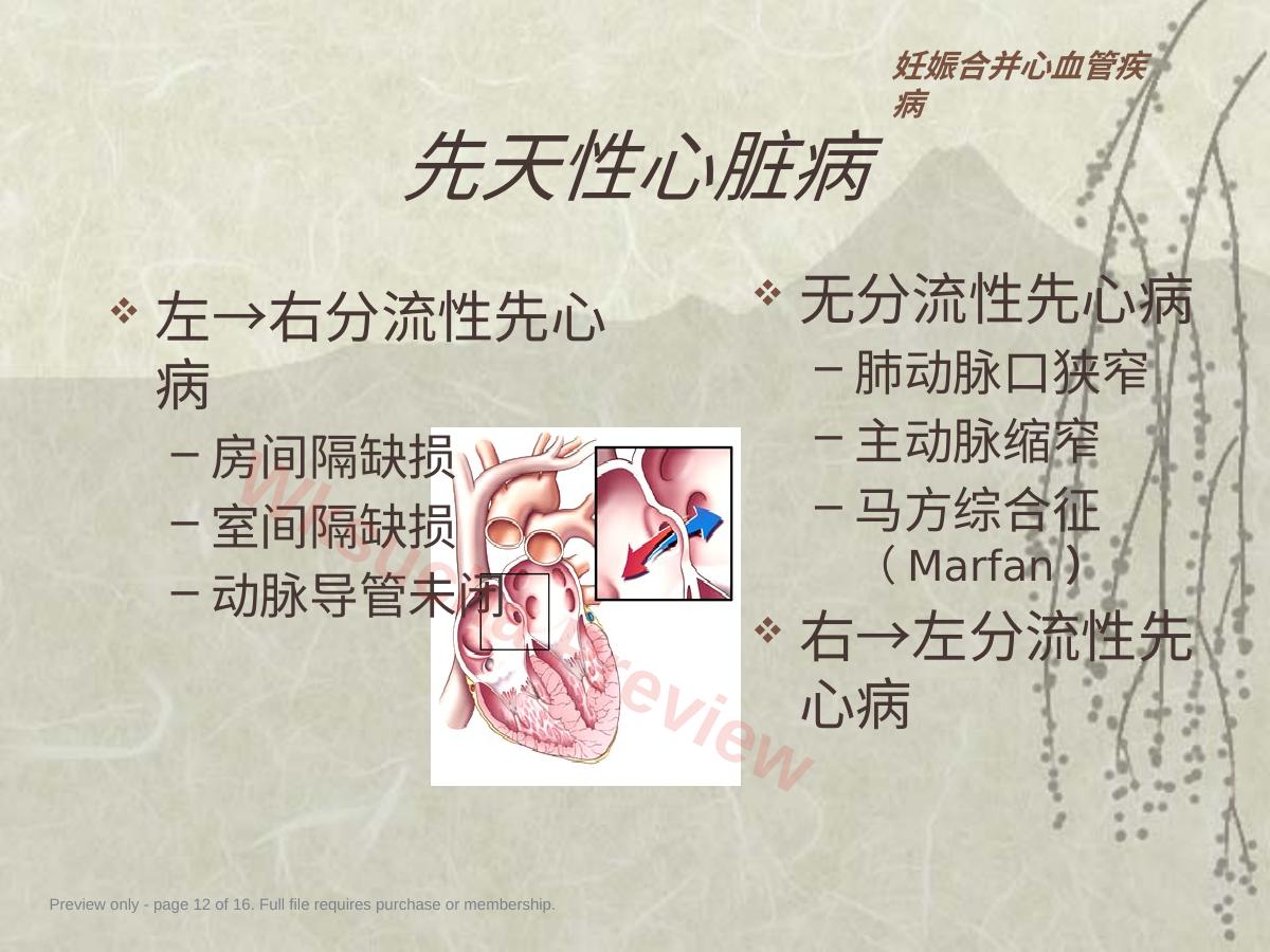 预览第 12 页