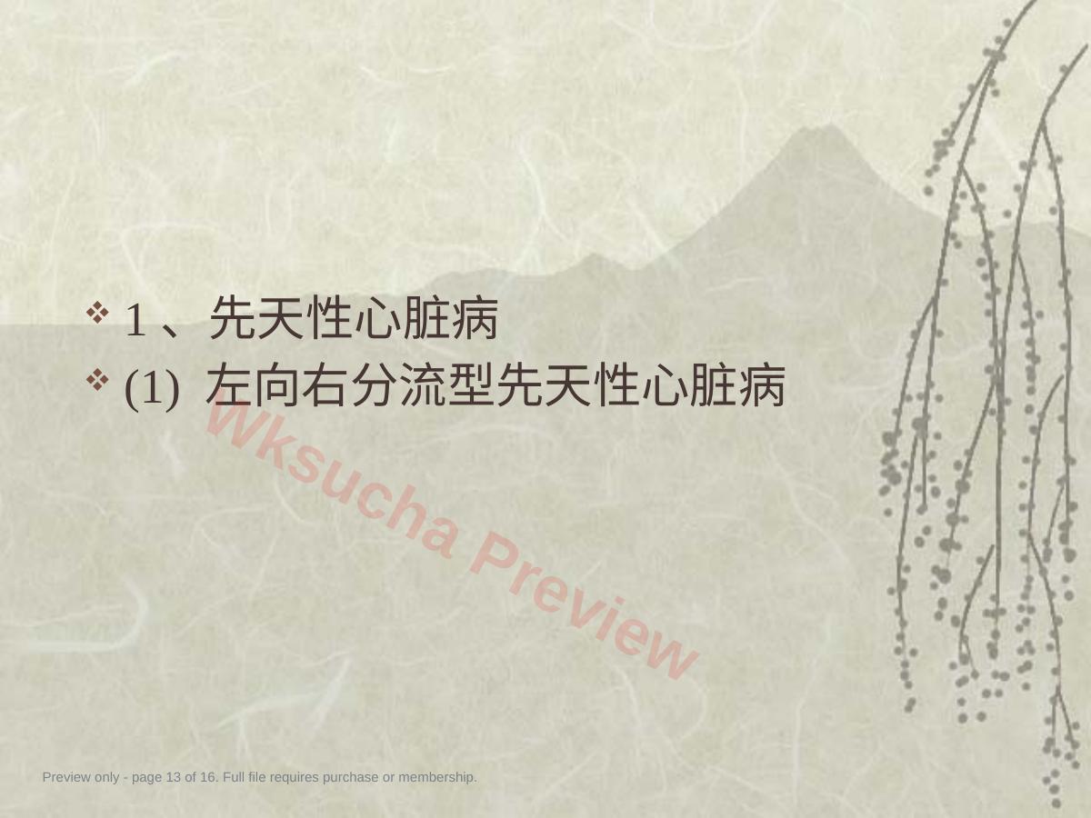 预览第 13 页