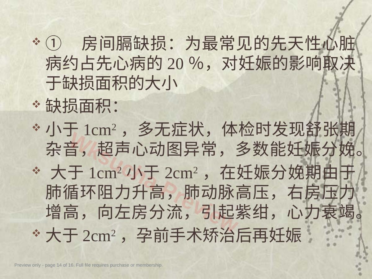 预览第 14 页