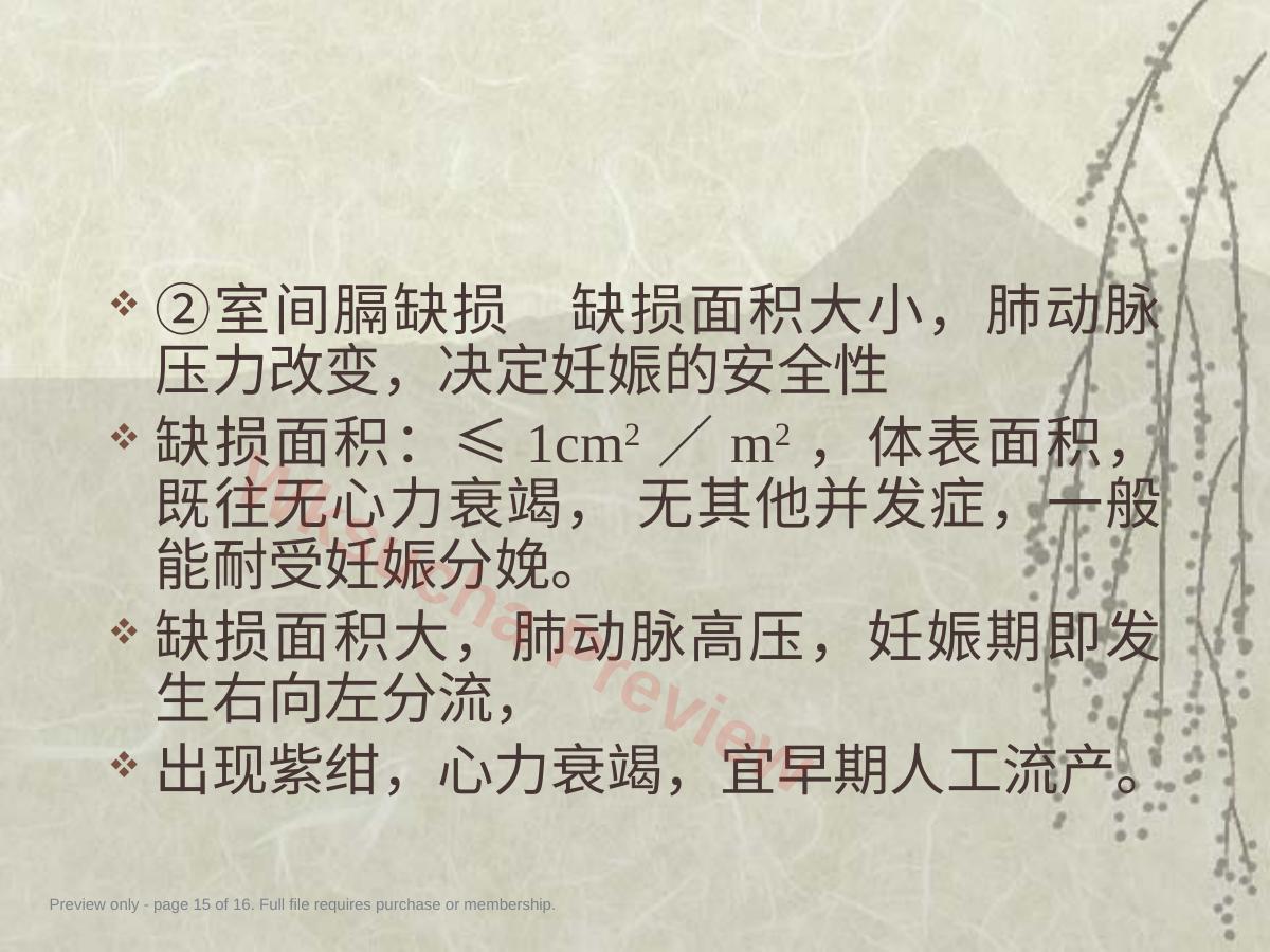预览第 15 页