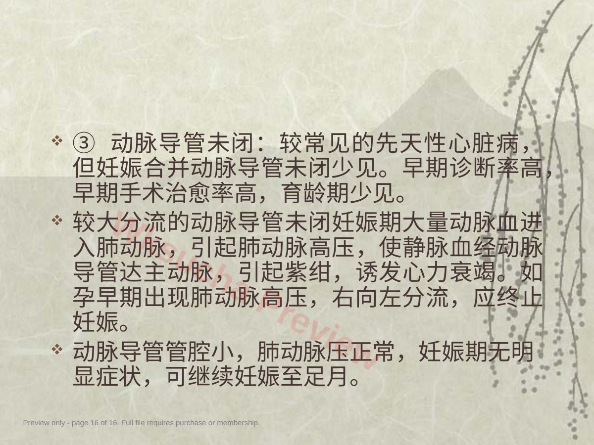 预览第 16 页