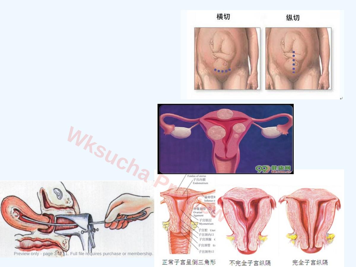 预览第 3 页