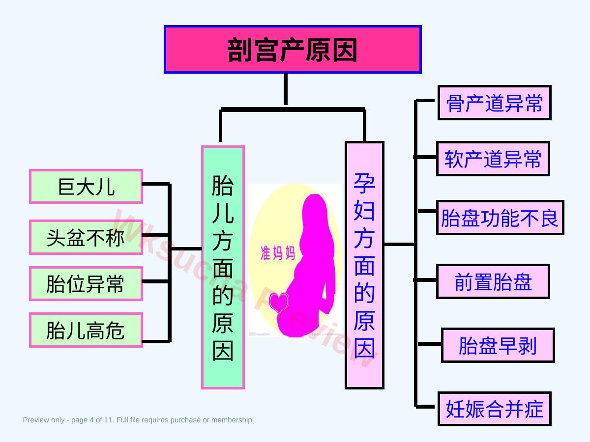 预览第 4 页