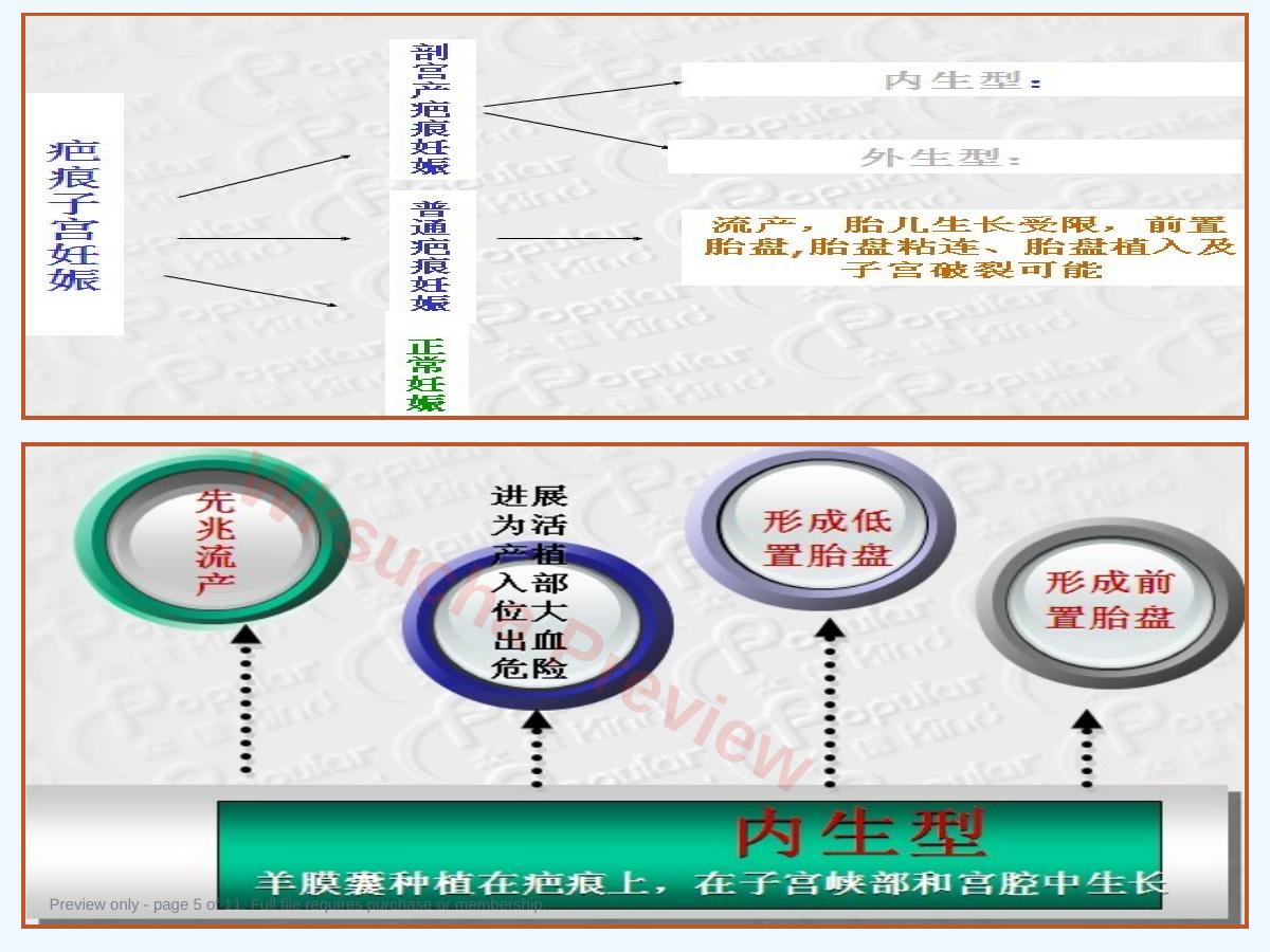 预览第 5 页