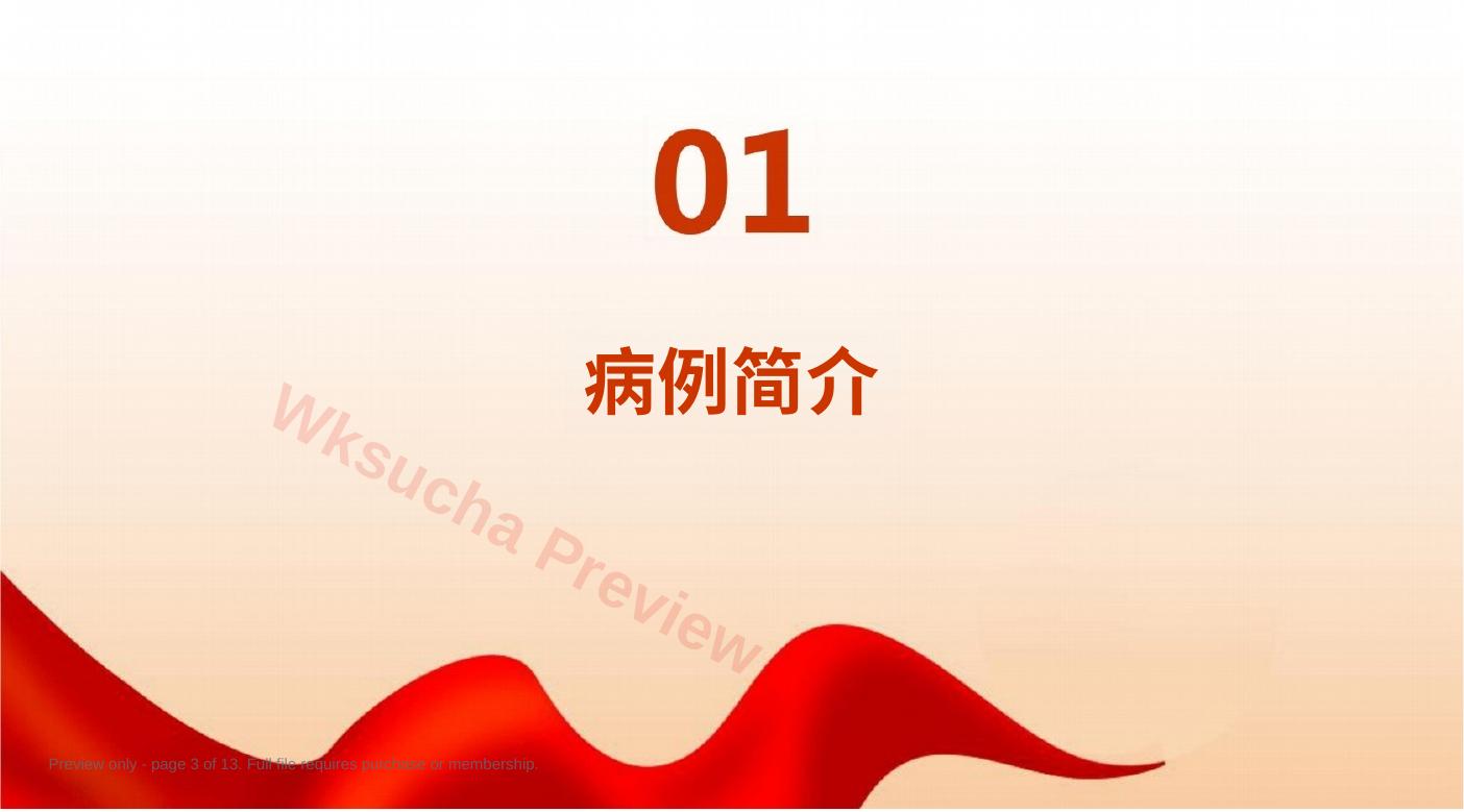 预览第 3 页