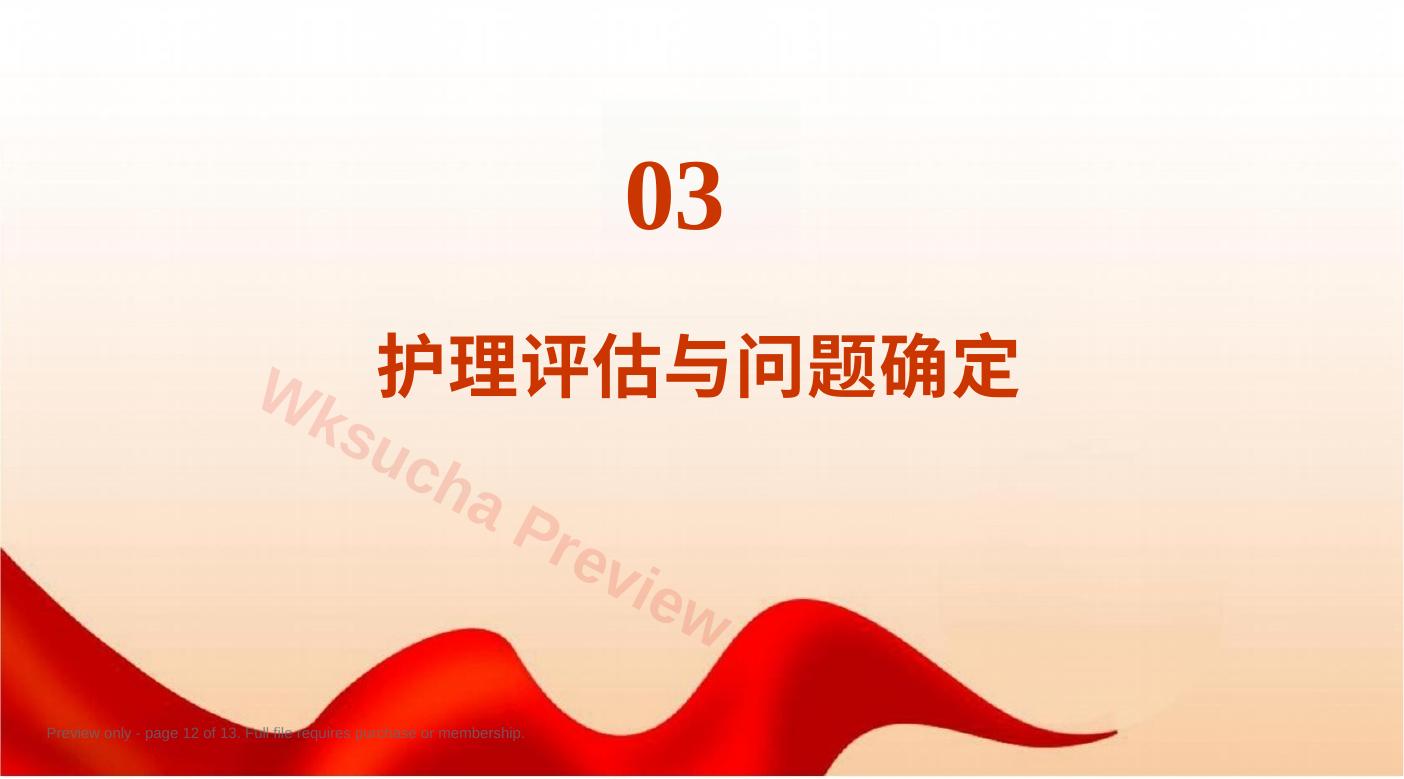 预览第 12 页