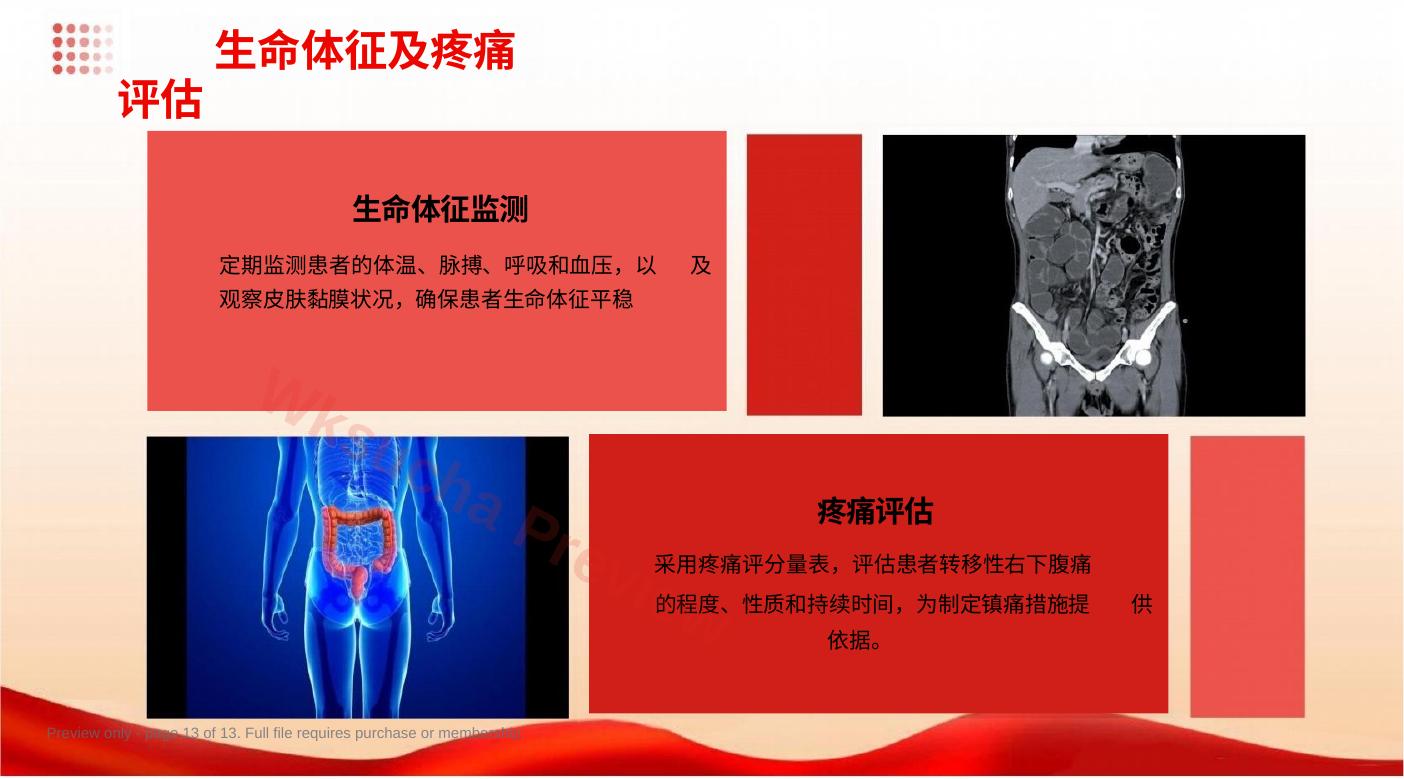 预览第 13 页