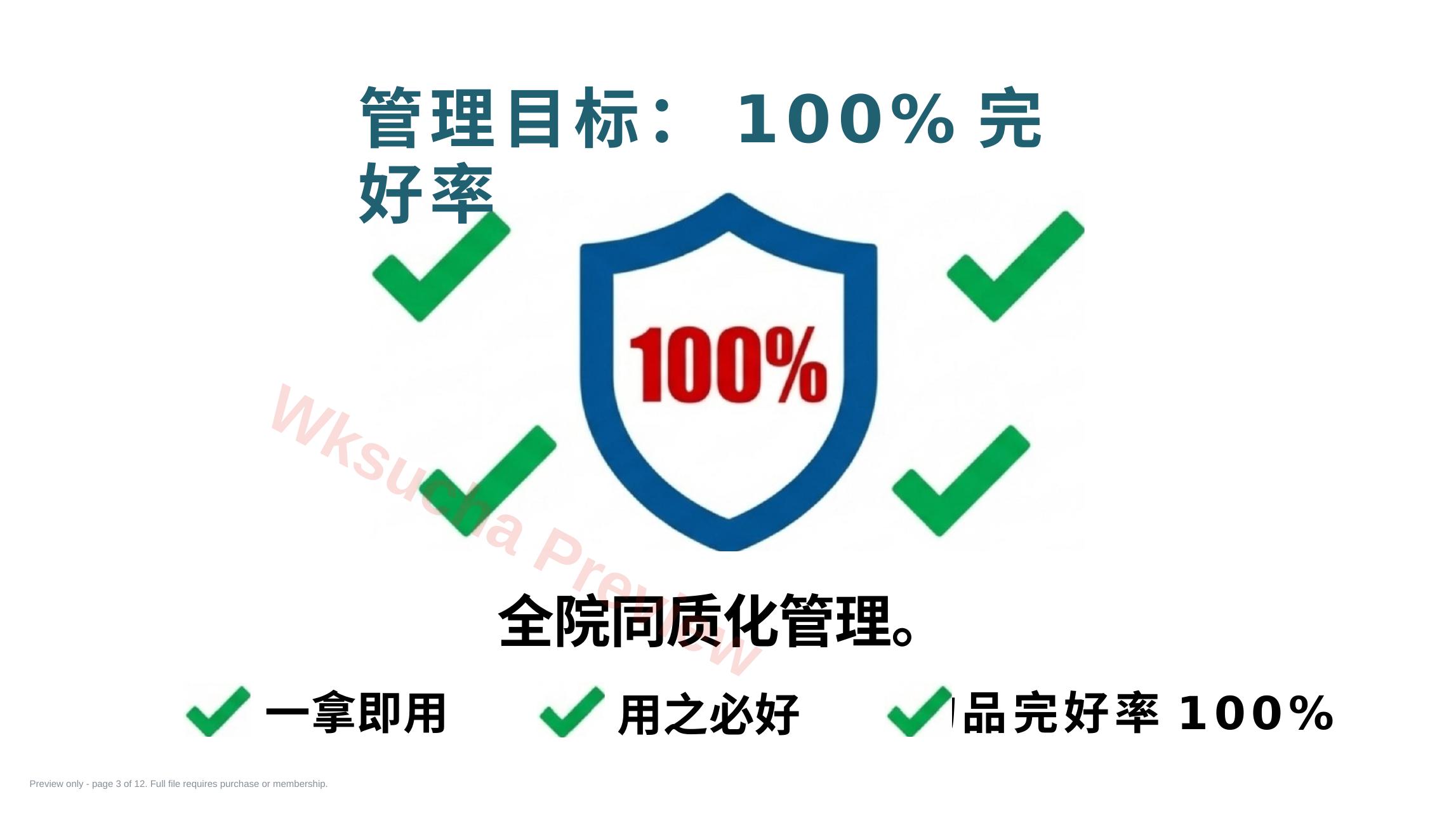 预览第 3 页