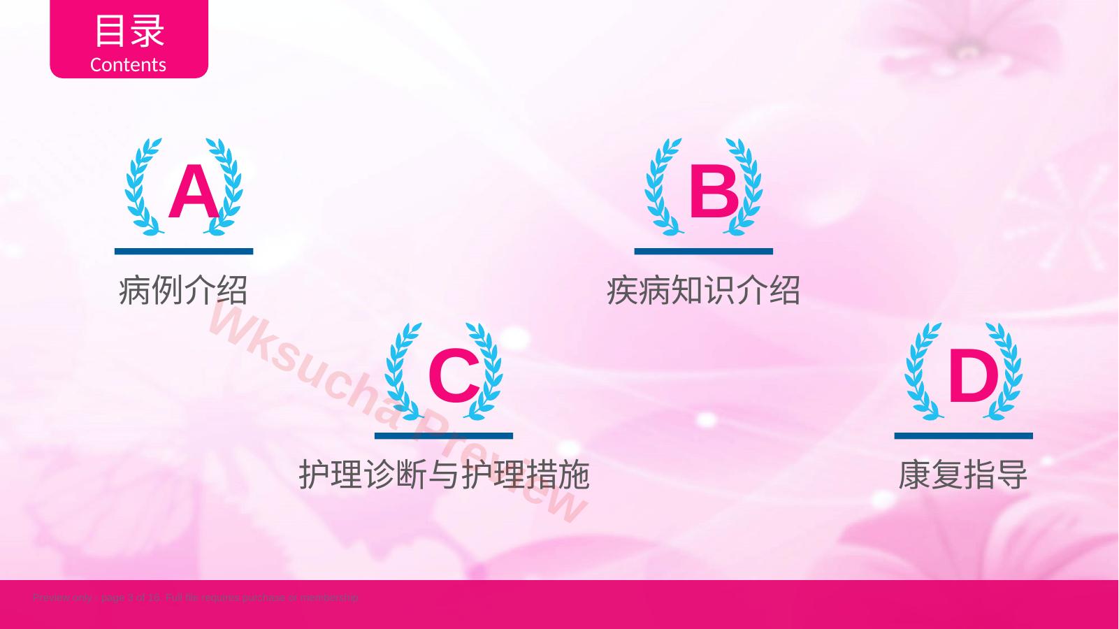 预览第 3 页