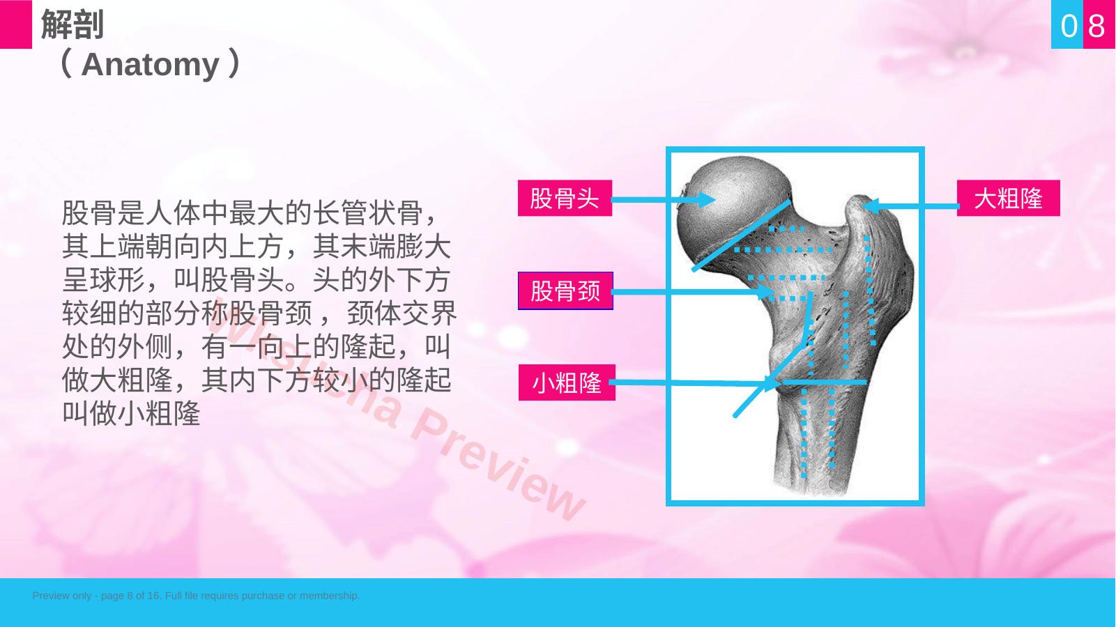 预览第 8 页