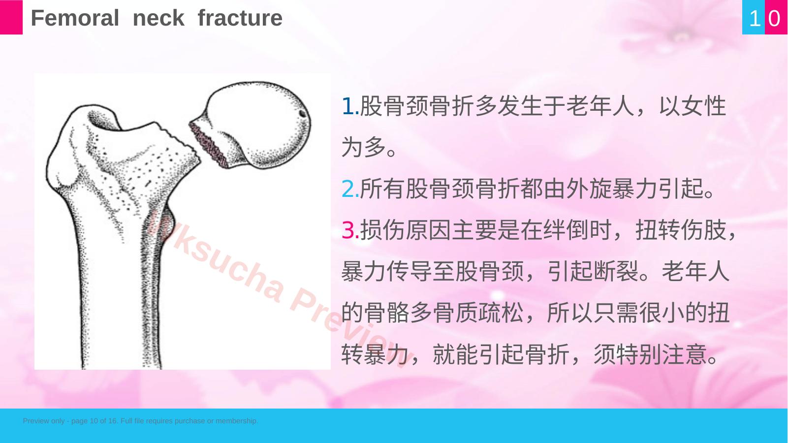 预览第 10 页