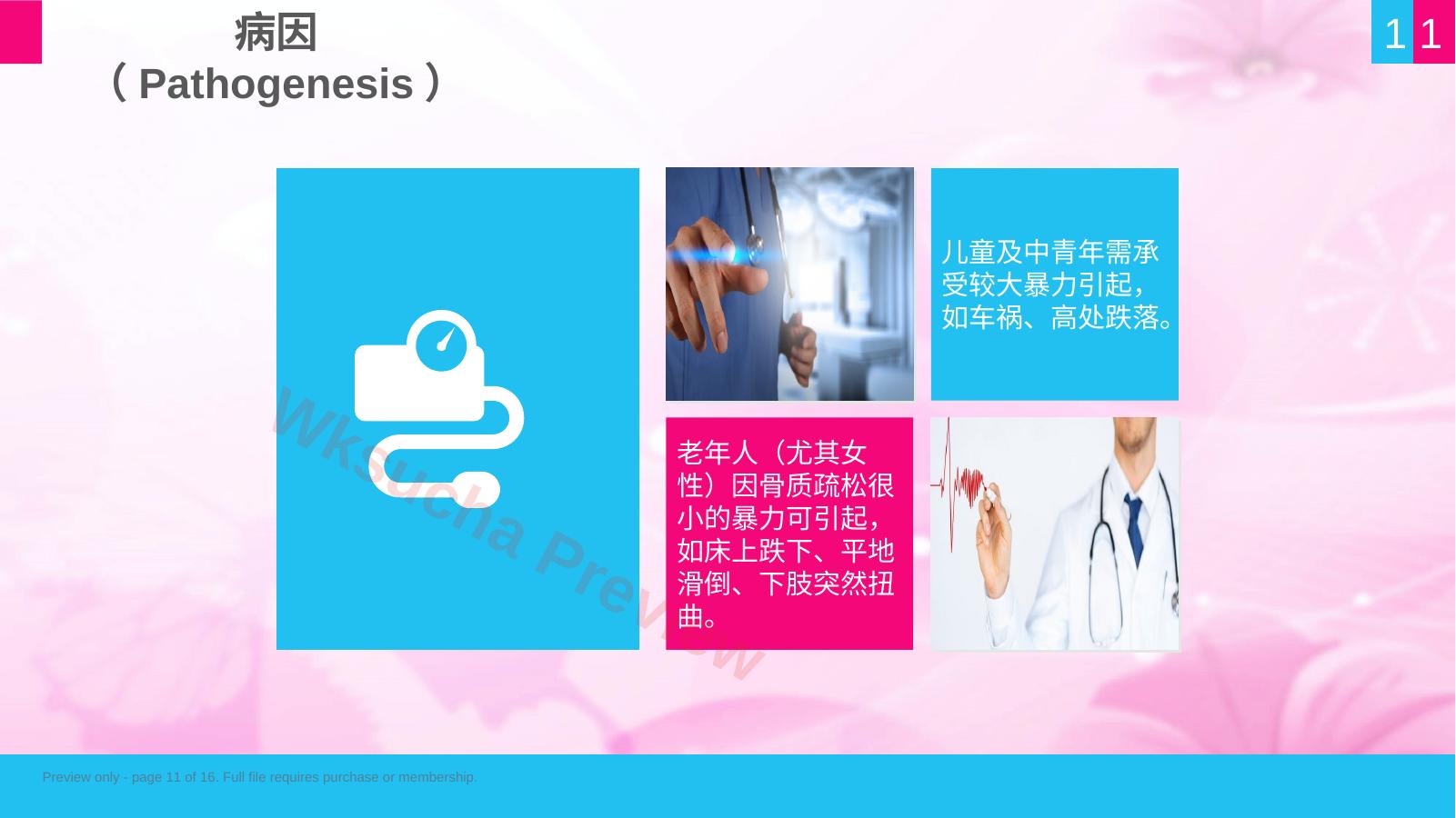 预览第 11 页