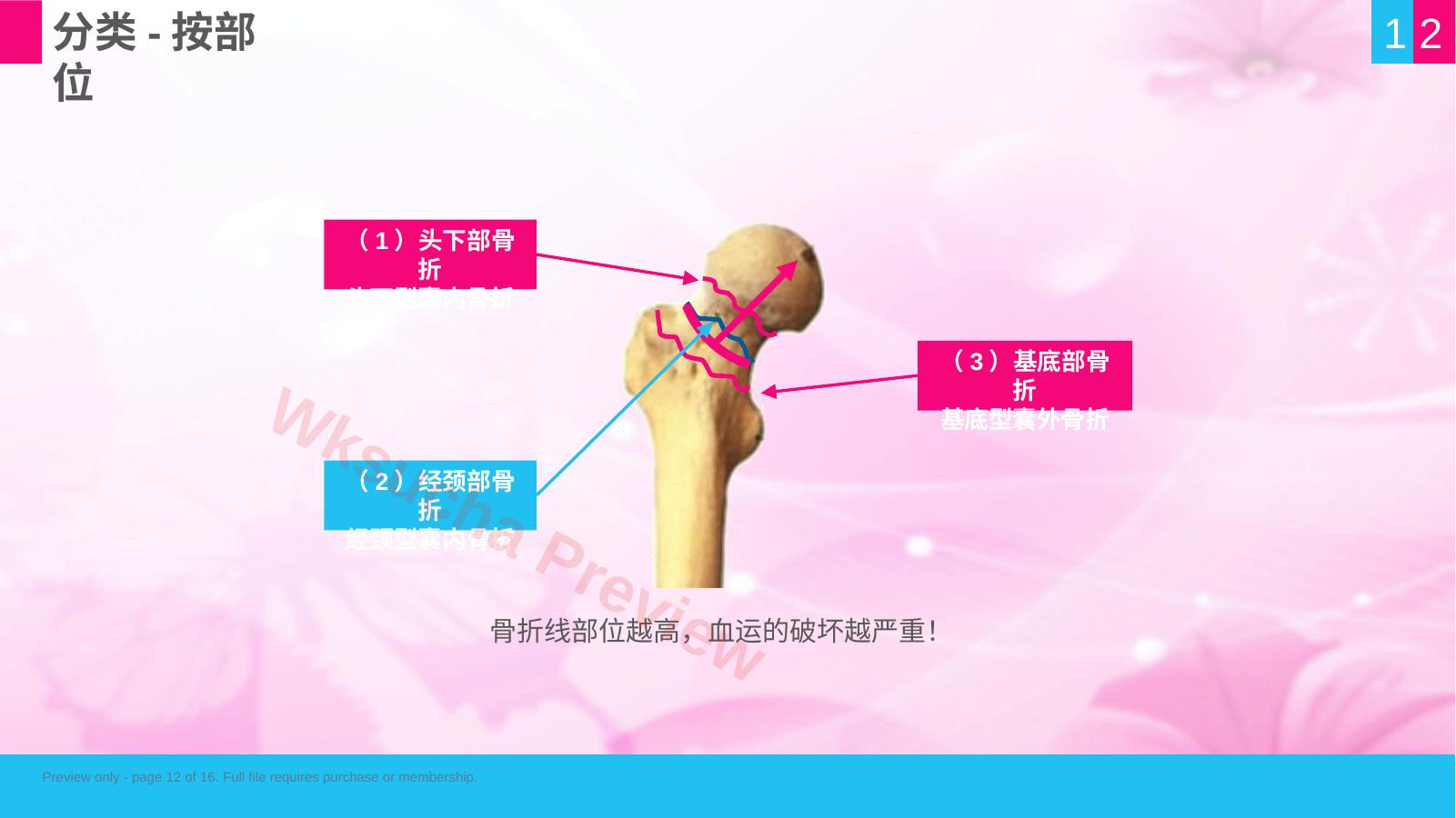 预览第 12 页