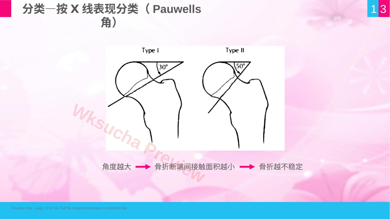 预览第 13 页