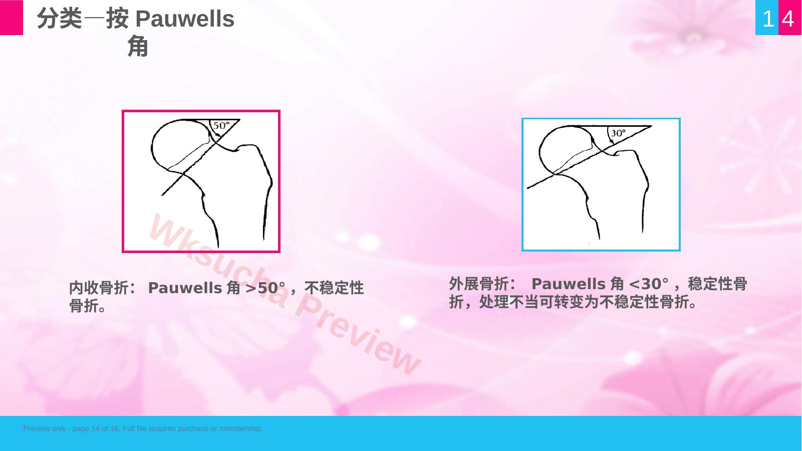 预览第 14 页