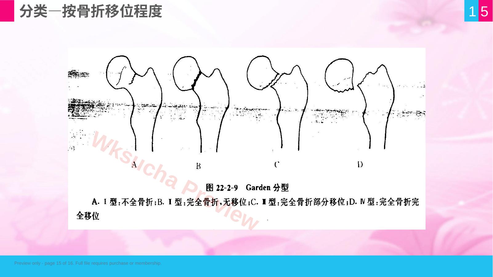 预览第 15 页