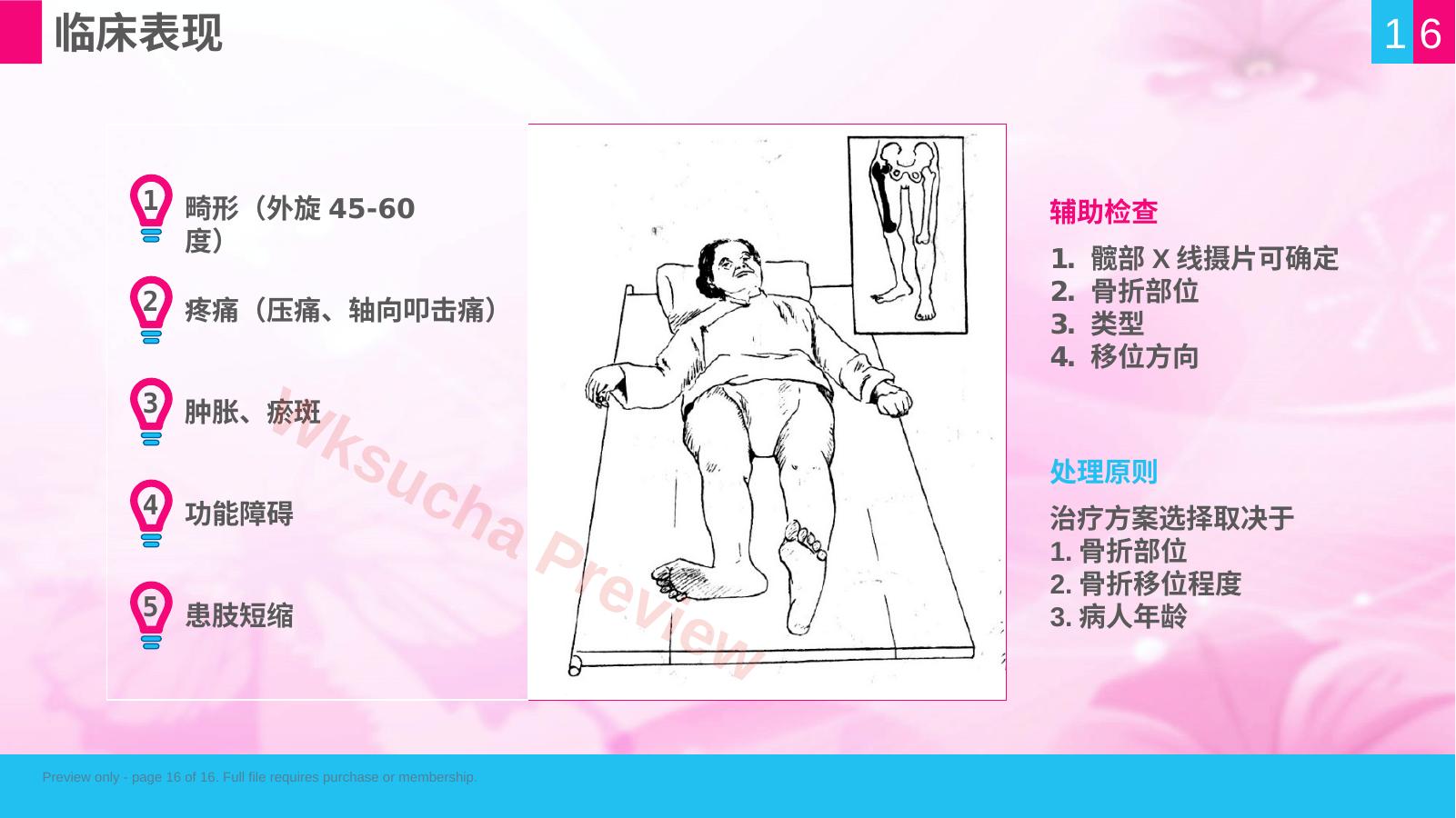 预览第 16 页