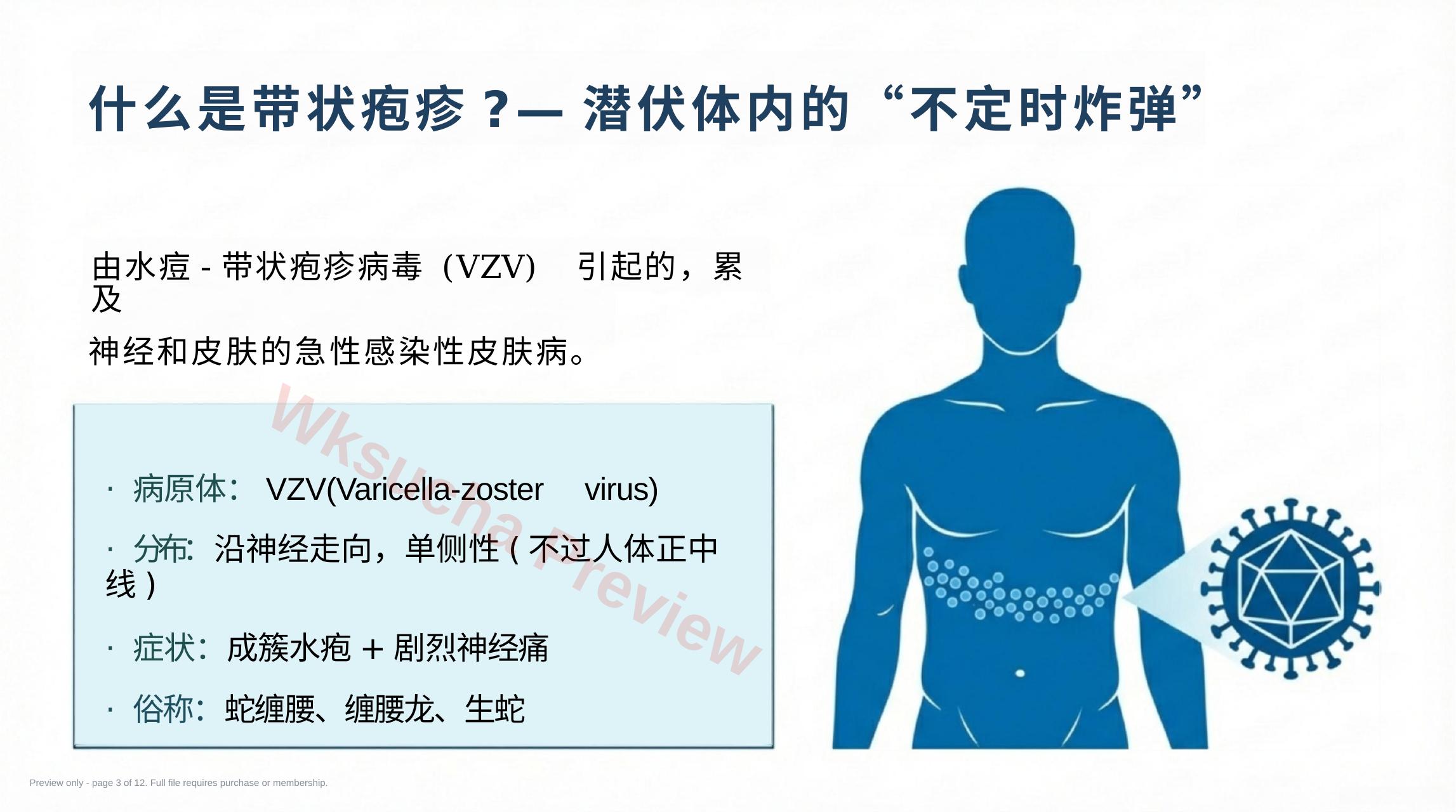 预览第 3 页