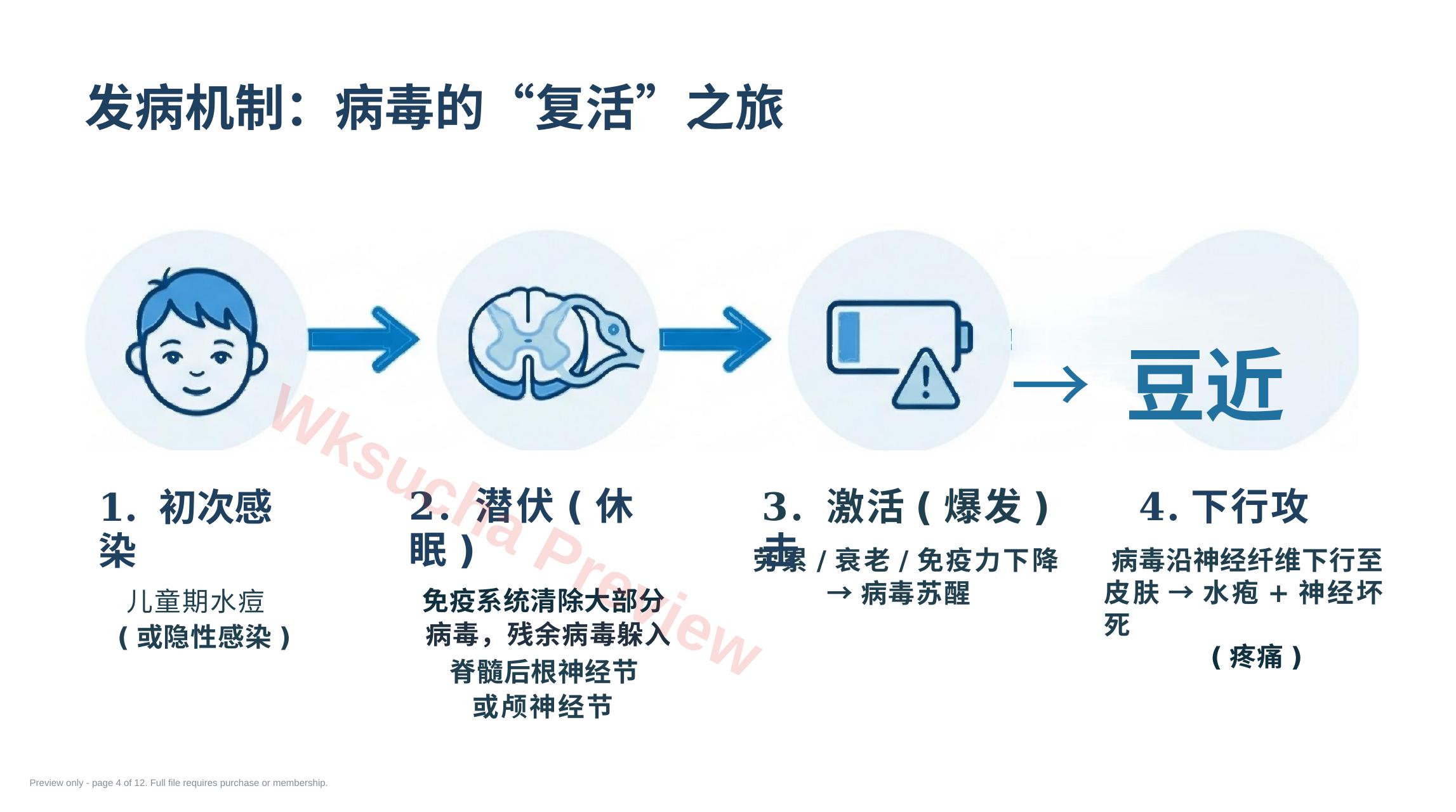预览第 4 页