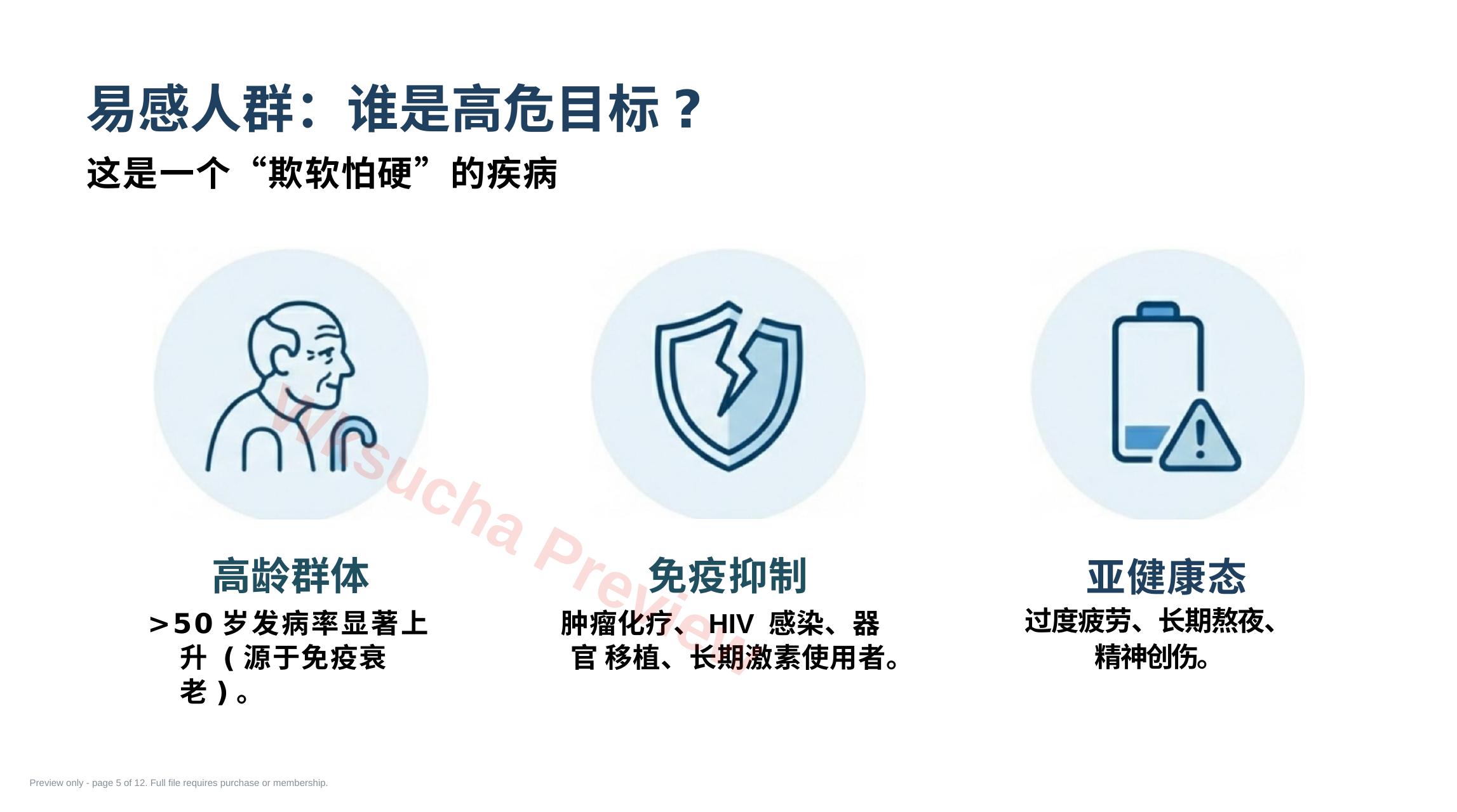预览第 5 页
